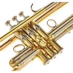 Yamaha YTR-8335RG 04 Trumpet 17 Yamaha YTR-8335RG 04 Trumpet -SoundSensationYamaha 11354757 800