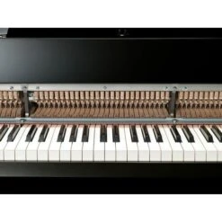 Yamaha N-3X Avant Grand -SoundSensationYamaha 11456996 800