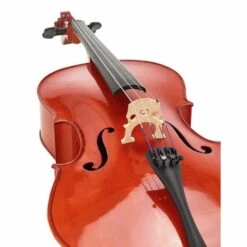 Yamaha VC 5S12 Cello 1/2 23 Yamaha VC 5S12 Cello 1/2 -SoundSensationYamaha 14033117 800
