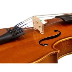 Yamaha V5 SC116 Violin 1/16 16 Yamaha V5 SC116 Violin 1/16 -SoundSensationYamaha 14389519 800