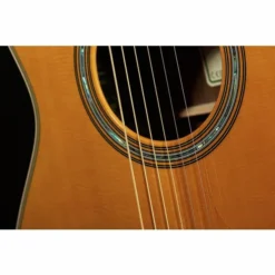 Yamaha Transacoustic LS-TA VT -SoundSensationYamaha 14509449 800