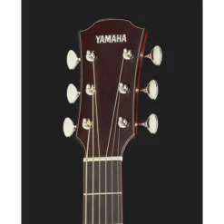 Yamaha AC5R ARE 20 Yamaha AC5R ARE -SoundSensationYamaha 14734661 800