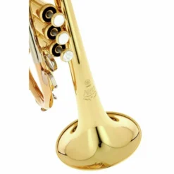 Yamaha YCR-8620 02 Cornet -SoundSensationYamaha 15682315 800