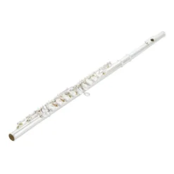 Yamaha YFL-312 Flute Set -SoundSensationYamaha 16675374 800