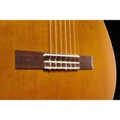 Yamaha CGX 122 MC -SoundSensationYamaha 17746868 800