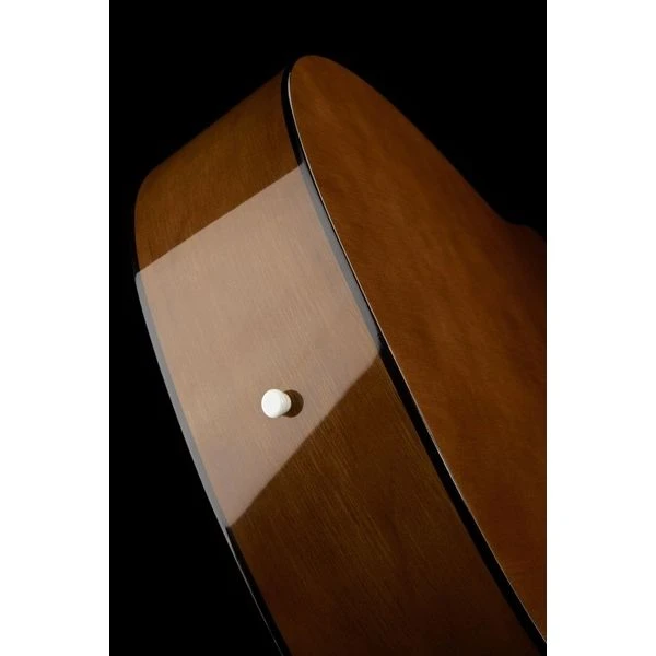 Yamaha F310 NT Bundle 4 Yamaha F310 NT Bundle - Image 4