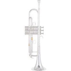Yamaha YTR-8335RS 04 Trumpet