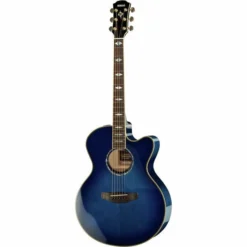 SoundSensationYamaha 18 Yamaha CPX1000 UM