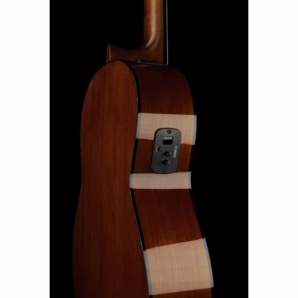 Yamaha CGX 102 12 Yamaha CGX 102 - Image 12