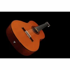 Yamaha CGX 102 20 Yamaha CGX 102 -SoundSensationYamaha 8073662 800