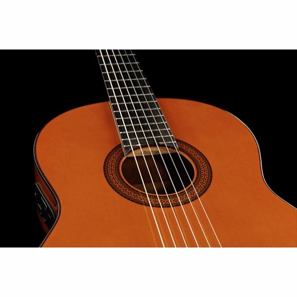 Yamaha CGX 102 10 Yamaha CGX 102 - Image 10