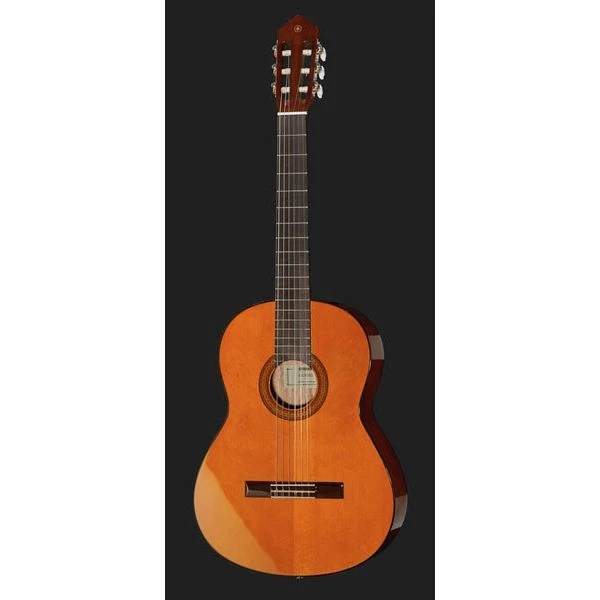 Yamaha CGX 102 2 Yamaha CGX 102 - Image 2