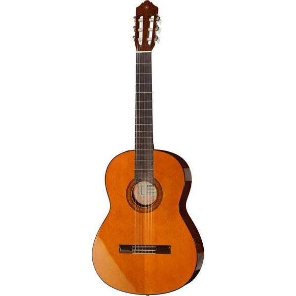 Yamaha CGX 102 1 Yamaha CGX 102