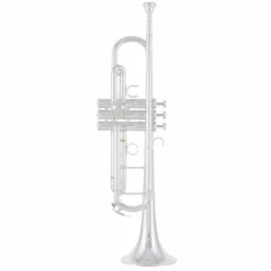 Yamaha YTR-9335 CHS 05 Trumpet